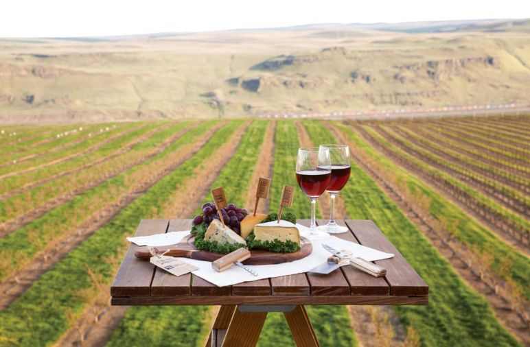 Maryhill Winery is a lovely site to enjoy its 2013 Painted Hills Vineyard Tempranillo.