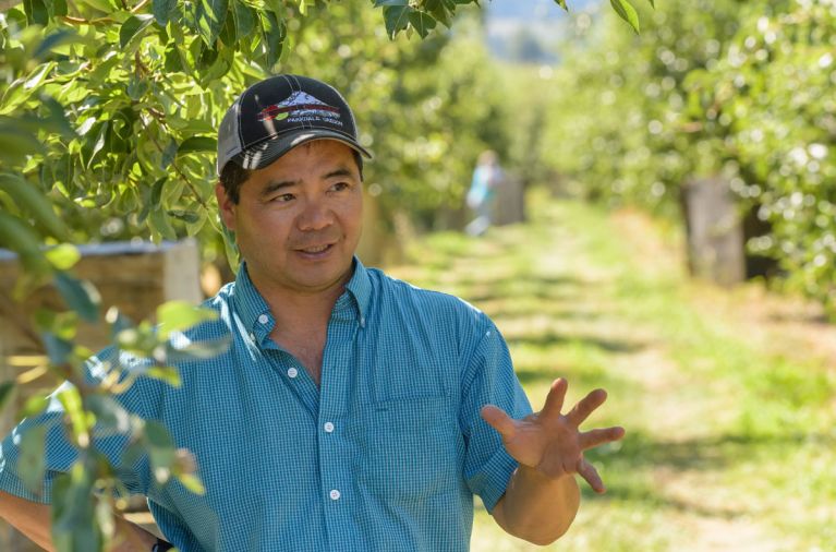 Like his grandfather, Randy Kiyokawa has charted his own course of opportunity, growing Kiyokawa Orchards to 200 acres of strong fruit trees, most devoted to growing Anjou, Bartlett, Bosc, Comice, Forelle and Seckel pears.