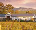 Located at Abeja winery in Walla Walla, The Inn at Abeja is a stunning, turn-of-the-century farmstead where original outbuildings have been restored to lovely, spacious, individual, and private guest accommodations.