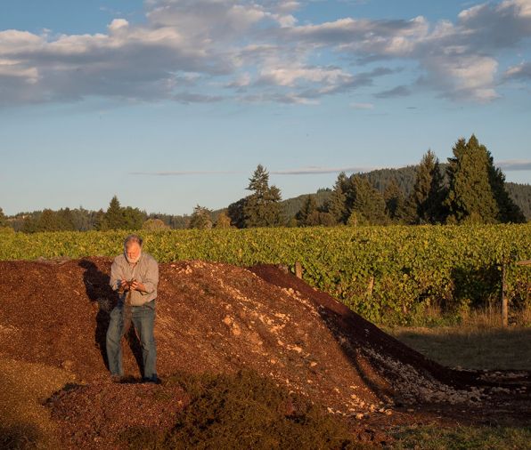 Montinore Estate in North Willamette Valley, Oregon with 240 acres is one of the largest producers of certified estate wines made from Biodynamic grapes in the country. Partner Rudy Marchesi serves on the committee of international Biodynamic vintners and helped develop a curriculum for the practice. Marchesi atop one of Montinore Estate’s many compost piles. Nutrient rich compost is tested after several months of fermentation to ensure maximum nutritional value. Much like winemaking techniques, the formulas for the “organic teas” are tested and perfected over time using a variety of plants, herbs and minerals. Photo © Andrea Johnson
