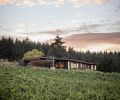 Home and vineyard were conceived together to maximize views and create a harmonious blend between nature and structure.