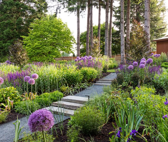 In a garden that hugs the homeowner’s son’s “Skate Barn,” Globemaster Purple Allium wave above a plethora of colorful blooming plants, including May Night Saliva, Purple Siberian Iris, Caradonna Salvia and Veronicastrum. Bluestone thresholds were recycled from the previous garden.