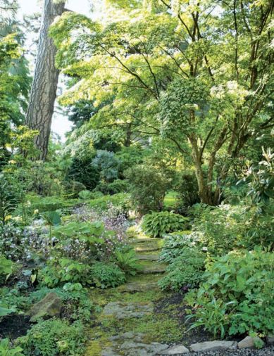 The area known as “the grotto” was installed by Susan to solve a lawn maintenance problem: too much shade and compacted soil. Why force lawn where it doesn’t want to be? The stone path is flanked by shade-loving plants including saxifrage, several hostas, Lenten roses (<em>Helleborus x hybridus</em>), and Susan’s new collection of <em>Arisaema calsoital</em> species.