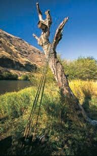 Rods leaning against a birdhouse during an Emerald Water Angler camp – a good selection never hurts.