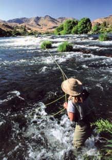 Judith O’Keefe in prime water during the spring salmon fly hatch.