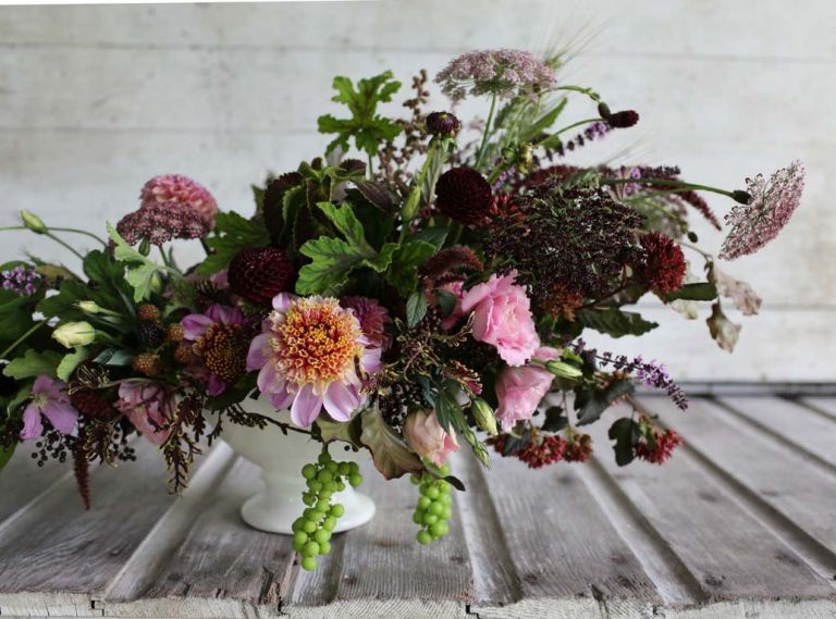 This moody bouquet designed by Erin Benzakein of Floret Flowers includes: grapes, coleus, amaranth, dahlias ‘Bracken Rose,’ ‘Twilight’ and ‘Crossfield Ebony,’ black queen anne’s lace, scabiosa, basil, copper beech, black elderberries, lisianthus, scented geranium ‘Chocolate,’ wheat, nine bark ‘Coppertina’ and thornless blackberries.