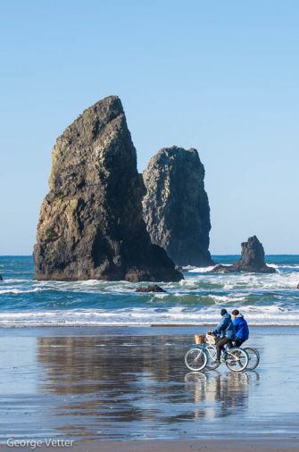 The iconic basalt sea stacks that line Cannon Beach are rich with marine birds and intertidal creatures.