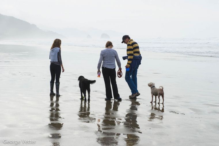 There are four miles of walkable beaches rich with marine life. The best time to go is at low tide. After you’ve taken the family to search for must-stay-there starfish and anemones, stroll along Cannon Beach’s main street, Hemlock, for a treasure to take home.