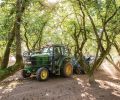 Hazelnut trees are planted with very wide spacing, and farmers carefully tend the ground beneath to keep it in good shape for the harvesters. Orchard ground needs to be firm, flat, and tightly mown to maximize sweeper efficiency.
