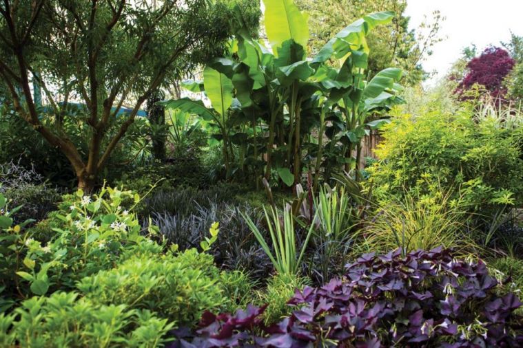 Lauren relies on foliage rather than flowers for interest and texture, which keeps the garden looking lush longer.