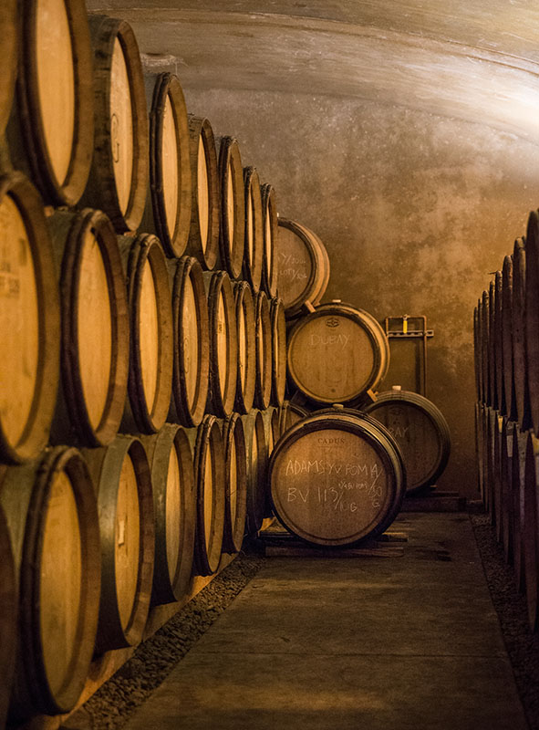 A WineCentric Weekend In Newberg Oregon