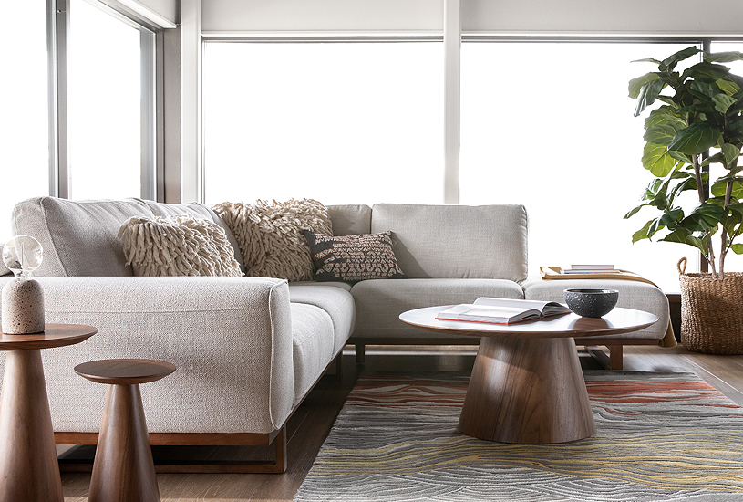 Portrait Publication Magazine Portrait Magazine