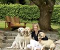 Liz Williams relaxes with beloved yellow Labrador Retrievers (left to right) Riley, Higgins, and Mimi. Behind them is the playfield used by the three Williams children, and it borders the expanding vegetable garden where Nick Williams relaxes after work.