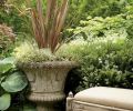 Plants in the ground can be allowed to cuddle up to container plantings used to articulate the corners of a terrace. Here Hosta ‘Aurora Borealis’ and white-flowered Hebe buxifolius go cheek-to-cheek with a handsome cement planter.