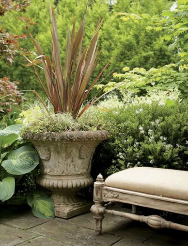 Plants in the ground can be allowed to cuddle up to container plantings used to articulate the corners of a terrace. Here Hosta ‘Aurora Borealis’ and white-flowered Hebe buxifolius go cheek-to-cheek with a handsome cement planter.