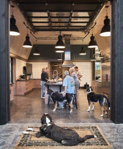 The Browns’ dog Champ surveys the team in the industrial kitchen.