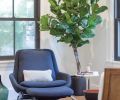 The former wall color had aged to a dingy brown set against darkly stained woodwork, which prompted the Guggenheims to paint the woodwork a contrasting white to create a lighter brighter feel overall. Threads of indigo turn up in the Hive Modern chair and an indoor/outdoor Dash & Albert stair runner.