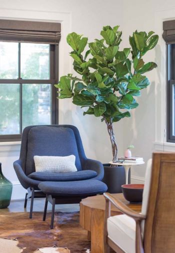 The former wall color had aged to a dingy brown set against darkly stained woodwork, which prompted the Guggenheims to paint the woodwork a contrasting white to create a lighter brighter feel overall. Threads of indigo turn up in the Hive Modern chair and an indoor/outdoor Dash & Albert stair runner.