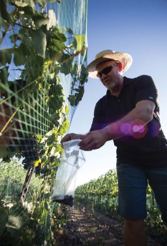 Saviah Cellars’ winemaker Richard Funk is winning gold medals for his Tempranillos.