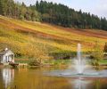 Reustle Prayer Rock Vineyards guests can explore 40 acres of vineyards and gardens.