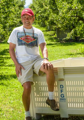 Gordy Sato's grandfather was among the many Japanese who immigrated to the Western United States in the early 1900s and took up pear farming. His 160-acre Ray Sato Orchards, named after his father, is nestled in the valleys of Parkdale, Oregon.