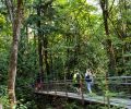 Bellevue Botanical Garden has 53 acres of cultivated gardens, woodlands and wetlands, with free admission.