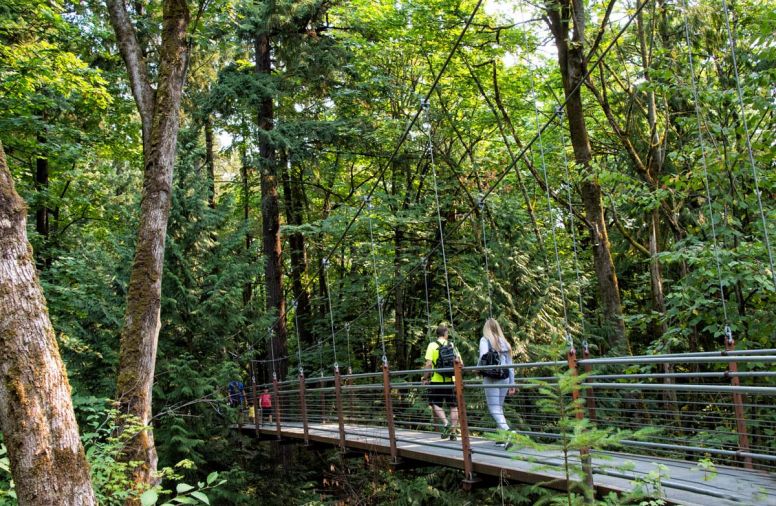 Bellevue Botanical Garden has 53 acres of cultivated gardens, woodlands and wetlands, with free admission.