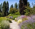 Bellevue Botanical Garden has 53 acres of cultivated gardens, woodlands and wetlands, with free admission.