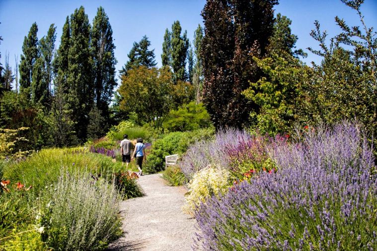 Bellevue Botanical Garden has 53 acres of cultivated gardens, woodlands and wetlands, with free admission.