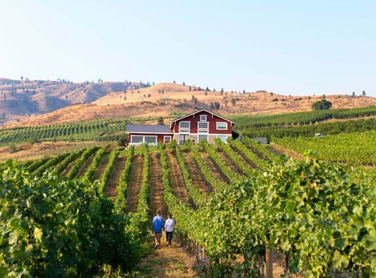 Overlooking the majestic Columbia River, award winning Alexandria Nicole Cellars’ winery and vineyard provides an awe-inspiring backdrop for wine and food enthusiasts.