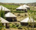 The Desert Yurts of Cave B Inn & Spa Resort are located a beautiful ten minute walk away from Cave B Inn’s main lodge. The Desert Yurts offer a more rustic take on the classic Cave B experience.