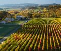 The Northwest’s cool climate, like that of Cristom Vineyards in Oregon’s Willamette Valley, creates a versatile and complex Syrah with spicy and floral notes. Cristom grows its Syrah on the lower slopes of the Estate Vineyards where daytime heat accumulation is high and nights are cold, allowing the Syrah to both ripen and retain its acidity.