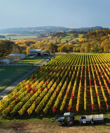 The Northwest’s cool climate, like that of Cristom Vineyards in Oregon’s Willamette Valley, creates a versatile and complex Syrah with spicy and floral notes. Cristom grows its Syrah on the lower slopes of the Estate Vineyards where daytime heat accumulation is high and nights are cold, allowing the Syrah to both ripen and retain its acidity.