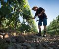 Richard Funk, owner of Saviah Cellars in The Rocks District AVA.