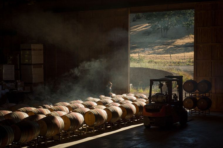 A peaceful moment at Maysara Winery in McMinnville, OR. Photo © Andrea Johnson