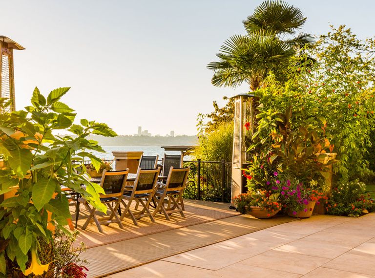 Landscape architect Jason Breitling of Cambium, Inc., who undertook both landscape architecture and landscape construction, creates a romantic dining area in the back garden that cantilevers out over Lake Washington. Two towering propane patio heaters mimic the height of the distant city skyline as well as the graceful Abutilon (“Tiger Eye” – Flowering Maple) right, which Breitling pairs with other perennial tropical plants that thrive in the microclimate formed by the garden’s proximity to the lake, which helps moderate the temperature year-round.