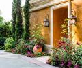 Dramatic, multi-colored, Tropicana canna lilies are featured with great effect in the garden. Far from a cacophony, the plantings are carefully orchestrated employing complementary colors and contrasting textures.