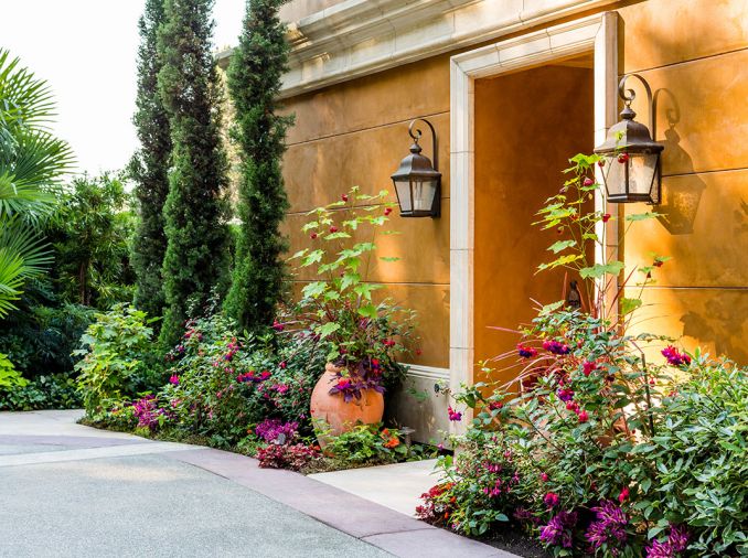 Dramatic, multi-colored, Tropicana canna lilies are featured with great effect in the garden. Far from a cacophony, the plantings are carefully orchestrated employing complementary colors and contrasting textures.