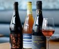 Estes + Dame offers Jean-Pierre Robinot long fermented French wines, local Gamine and Vigneto Saetti Lambruscos.