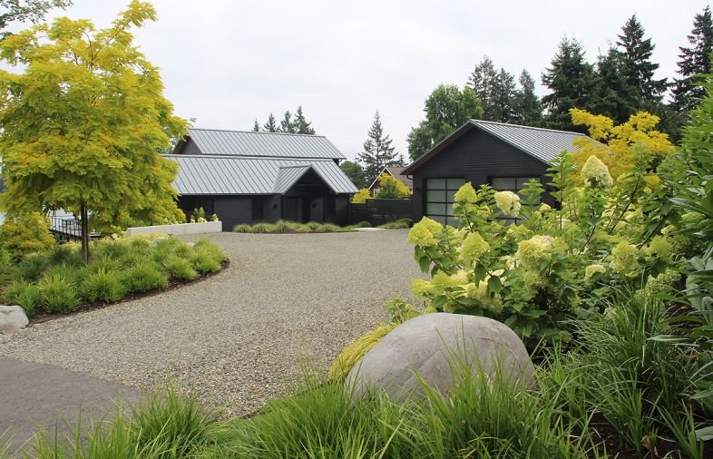 Treherne created a halo of gold with Robinia pseudoacacia ‘Frisia’ trees encircling the home, playing off the black semi-gloss Artisan® Collection lap siding by James Hardie. Hydrangea paniculata ‘Limelight’ adds floral drama. Liriope spicata grasses add greenery.

Photograph © Tish Treherne