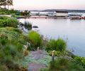 The pathway down to the pebble beach is trimmed with wooly thyme. Hardstem bulrushes protect against wave erosion and stabilize soil. Custom pathway lights by Broadhurst + Associates.