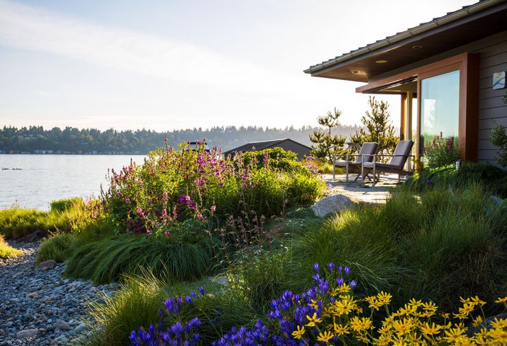 A hands-on collaborator, Pamela always wanted to be on site when something specific was happening. “Having someone you can trust like Paul was just magical!” Oregon Sunshine foreground, blue Tritelleia Laxa “Queen Fabiola” and Henderson’s Checker Mallow hug Guest house, where pocket glass walls open to garden. Easy-to-clean Pennsylvania Bluestone floors that flow outdoors help guesthouse double as pool house.