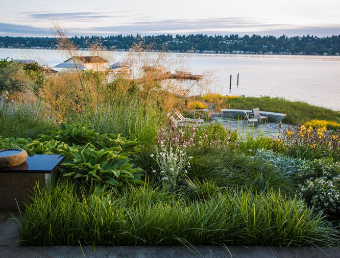 A sitting wall with black granite cap provides a place to reflect. White Matilija Poppies (with yellow centers) angle toward pool and bloom through summer.