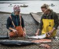 The siblings filleting salmon dockside.