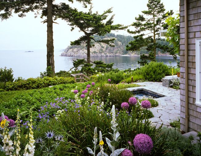 The bay is visible from the pathway of locally quarried alger granite steppingstones that lead past the sunken spa to the original reconstituted staircase to the beach. Lynne suggested salvaging the women’s pebble mosaics which Broadhurst fashioned into a pathway down the cliff face. Big Blue Sea Holly (Eryngium zabelii), foxglove, mullein, libertia, Johnson’s Blue geraniums and allium flourish alongside one another. The main terrace is at right. Broadhurst’s newly designed Sun Garden left.