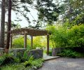 Porte Cochere entrance to property descends through forest of PNW vine maples.