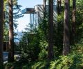 Architect Paul Moon embraced the existing forest with floor-to-ceiling windows that open both on view and towering firs.