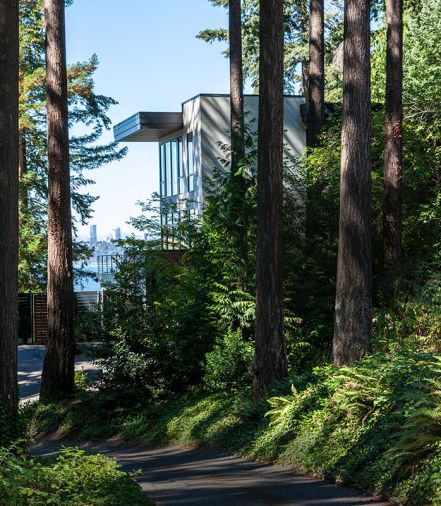 Architect Paul Moon embraced the existing forest with floor-to-ceiling windows that open both on view and towering firs.