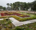 Close up of succulent roof garden designed and installed by By-the-Sea Gardens with irrigation. Walkway 
installed for tending garden.