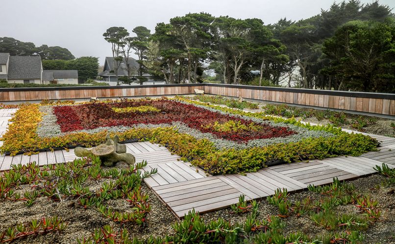 Close up of succulent roof garden designed and installed by By-the-Sea Gardens with irrigation. Walkway 
installed for tending garden.